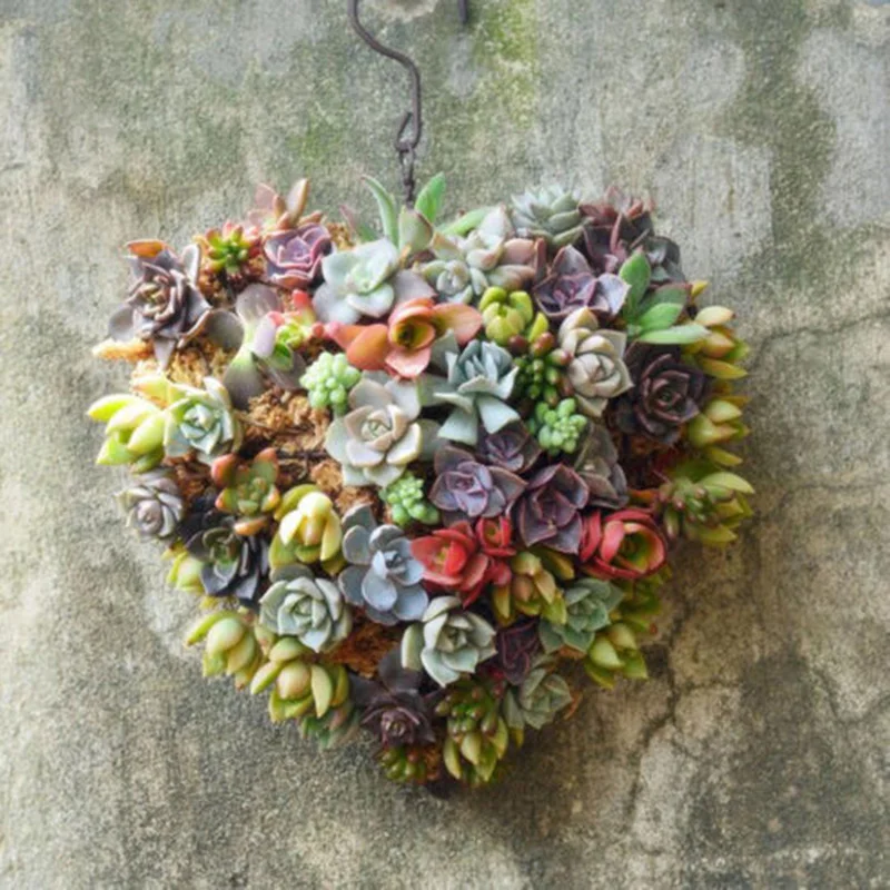 2X Ретро Железный в форме сердца цветочный горшок для суккулентных растений