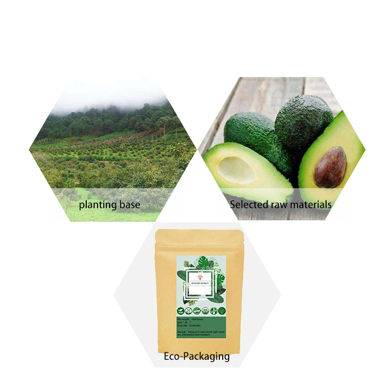 Высокое качество авокадо экстракт в виде порошка пищевой порошок фестиваль уход