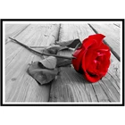 Pintura de diamantes 5D y bordado de flores de paisaje y punto de Крус мозаика para decoracin del женщины в китайском стиле. Patrn artesanal reg