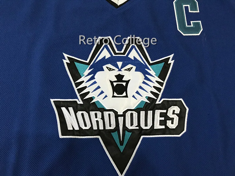

Quebec Nordiques 1995-1996 Pro Wolf #19 Joe Sakic MEN'S Hockey Jersey Embroidery Stitched Customize any number and name