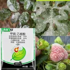 Тиофанат-метилРозапорошковая плесеньконтроль различных заболеваний овощей, фруктов и садов 20 г