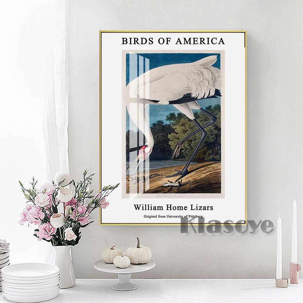 

Hooping Crane Bird America Retro Canvas Painting John James Audubon Prints Art Poster Living Room Home Decor Wall Picture Gift