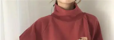 DISWEET, свитер с высоким воротом для женщин, Одноцветный, длинный рукав, вязанные топы, Свободные Повседневные свитера, корейские женские пуловеры - Цвет: brick
