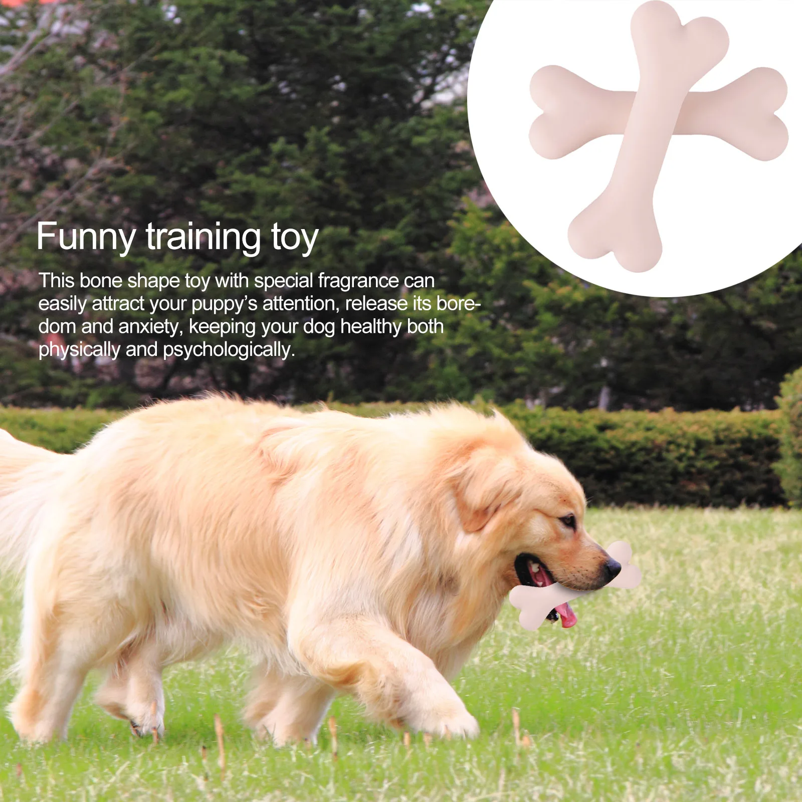 

Dog Chew Toy Round Pet Toys Silicone Toys Silicone Dog Toys Bite Resistant Bone Shape Chew Toy Training Funny Toy