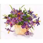 Наборы для вышивки крестиком 11CT 14CT 18CT китайские наборы для вышивки крестиком