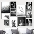 Постер черно-белый в стиле пустыни, с изображением леса и листьев