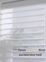 shangri la shades luxury double layers light filtering dustproof romantic sheer roller window shades for home