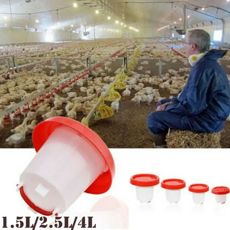 Новинка для цыплят поливальщик кур несушек перепелиные яйца птицы поилок воды
