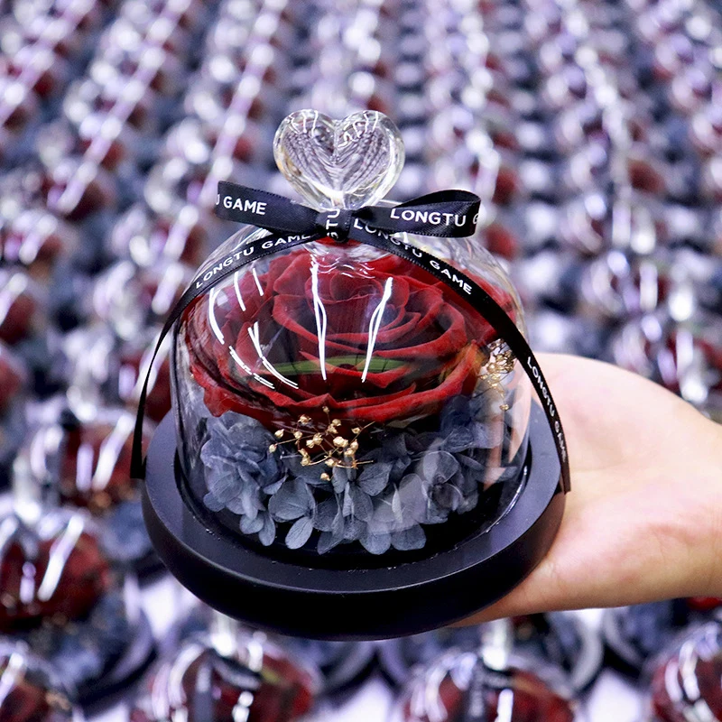 

Preserved Flower Rose in Glass Dome with Lights Eternal Rose Gift for Valentine's Day Christmas Mother's Day D1