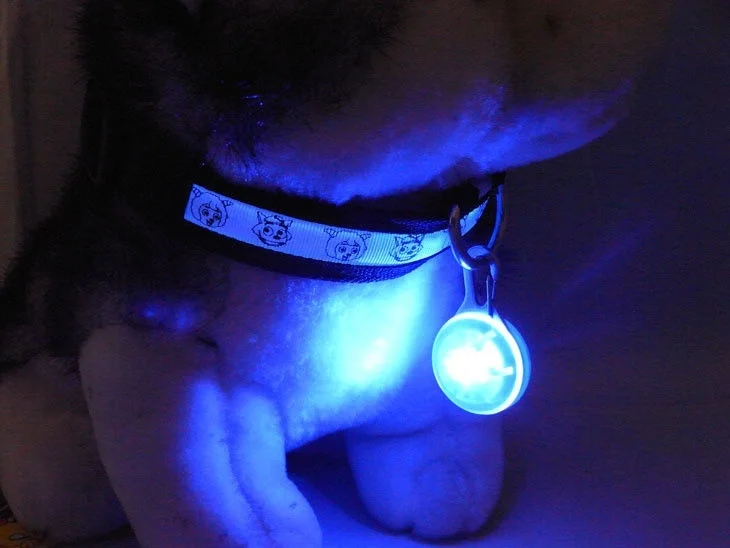 Светодиодный фонарик для ошейника светящийся Подвесной Ожерелье собаки Яркий
