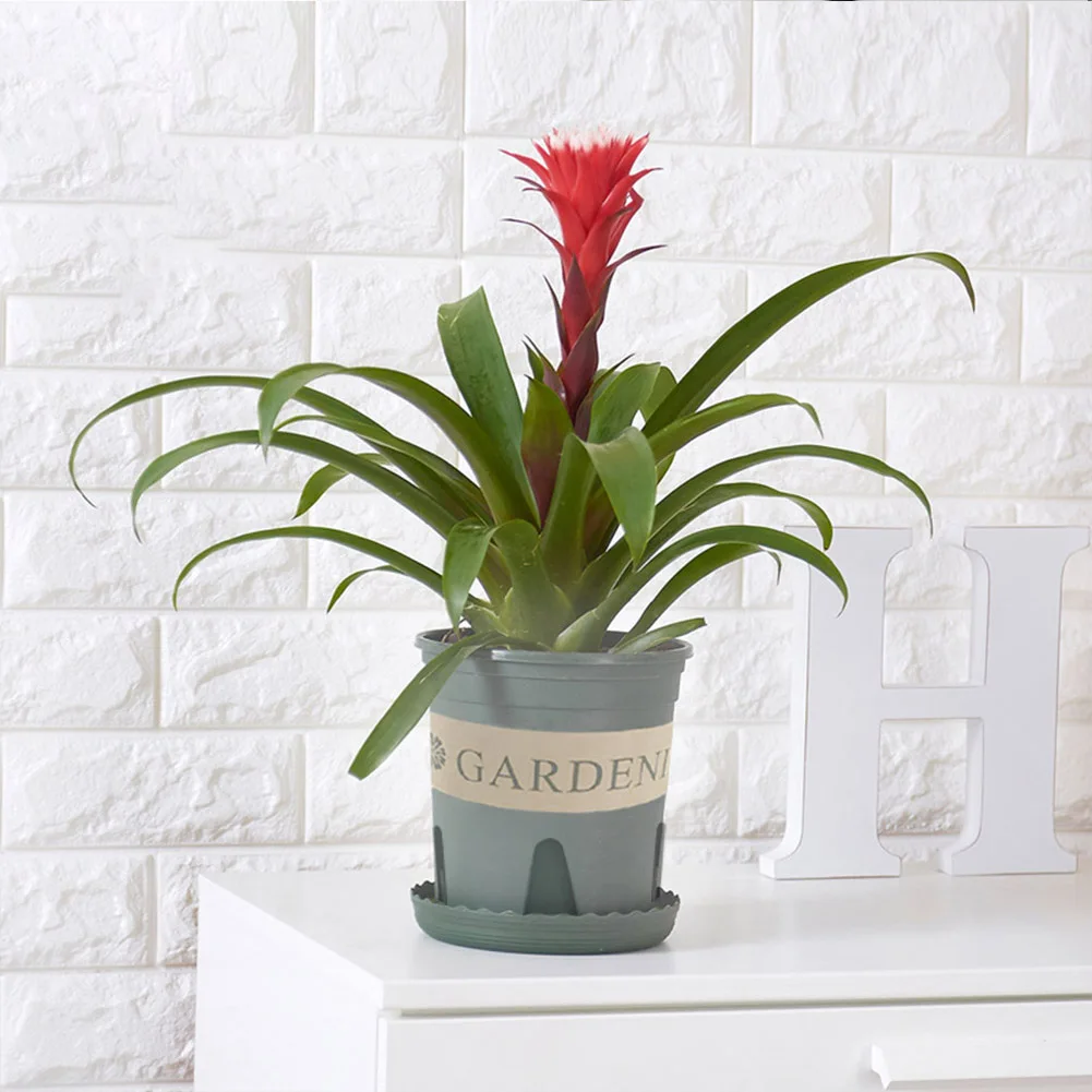Цветочный горшок товары для сада пластиковый с зелеными корнями в скандинавском
