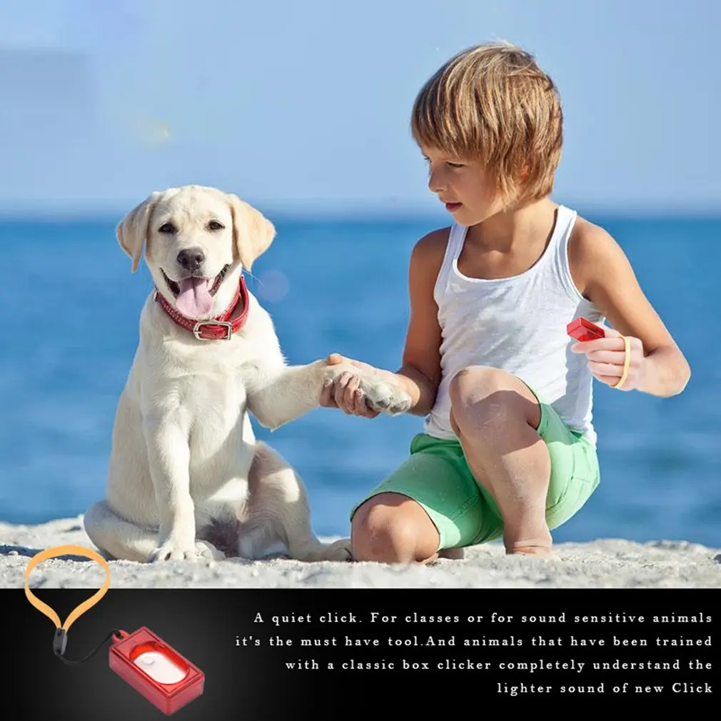 Квадратный тренажер для домашних животных маркер края муddle золотые волосы