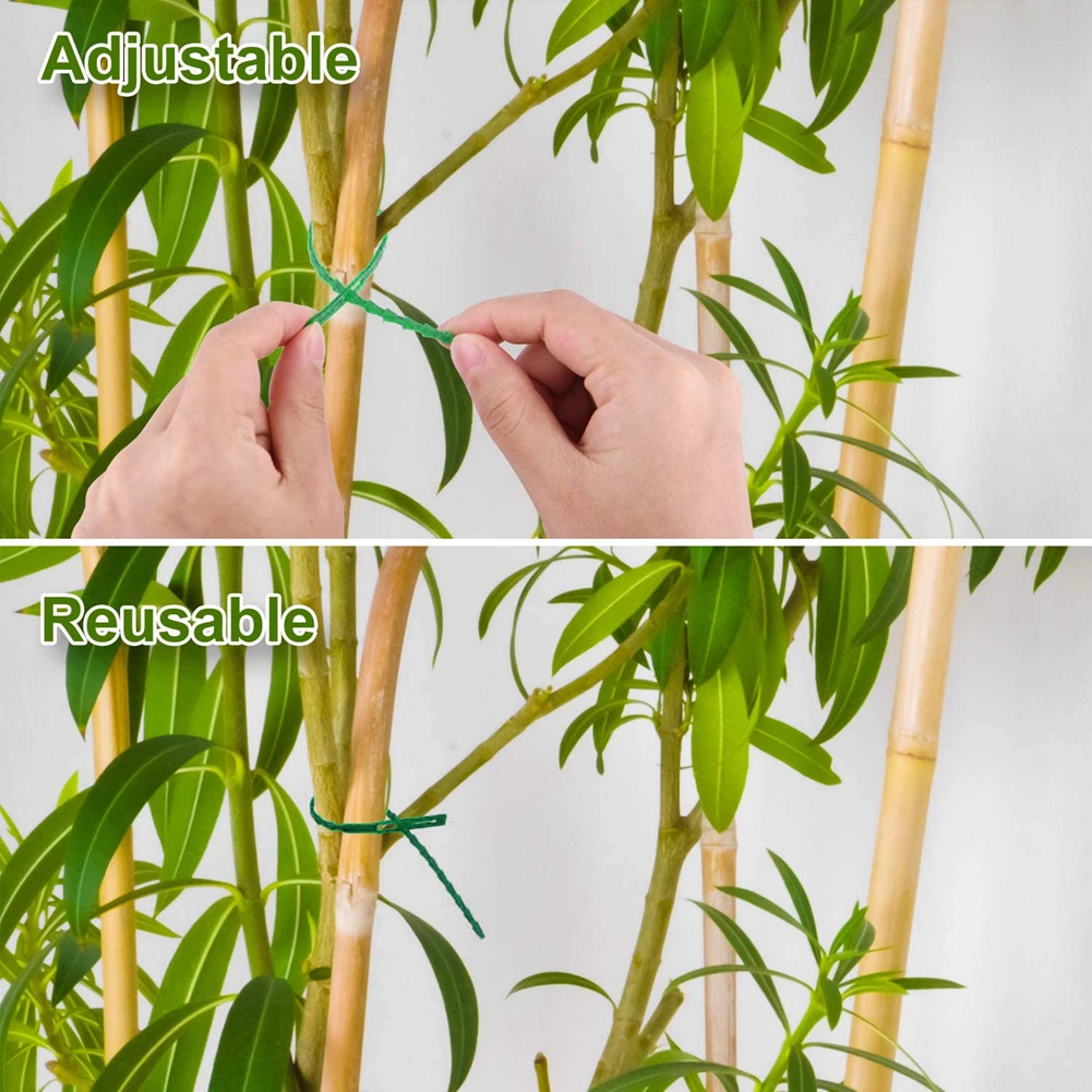 

38Pcs Plant Support Stakes, Garden Single Stem Support Stake Plant Cage Support Rings For Amaryllis Tomatoes Orchid Lily Peony