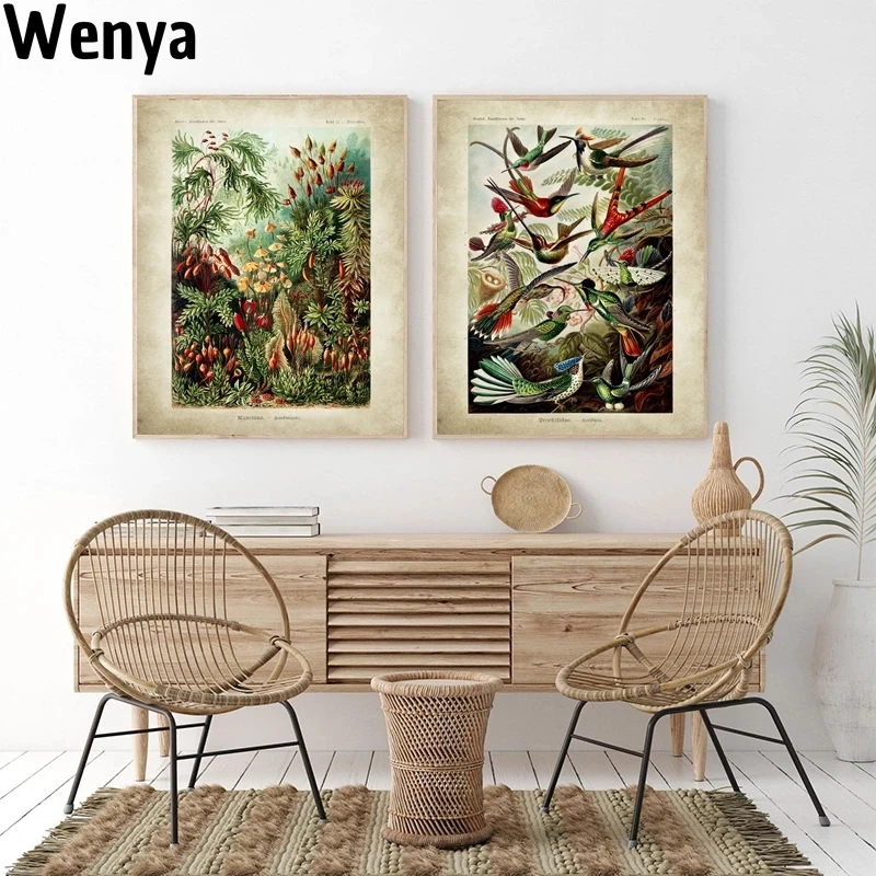 

Biology Poster Palm Tree Prints Retro Hummingbird Botanical Garden Tropical Wall Art Canvas Painting Pictures Home Decor Prints