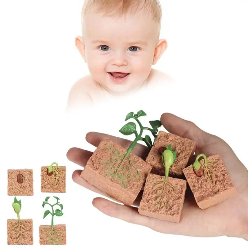 

Simulation Plant Model Mini Seed Growth Cycle Toy Model Set Plastic ABS Toys Cognitive Children U9H2