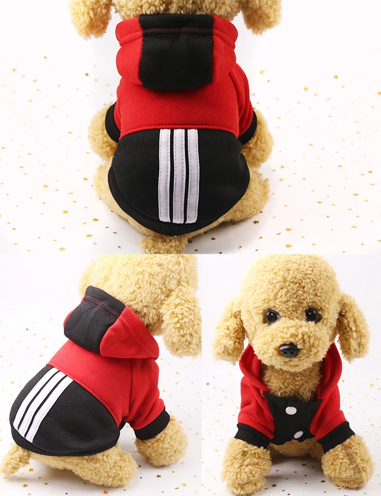 Различные виды спорта маленькая собака милый свитер кошка одежда | Дом и сад