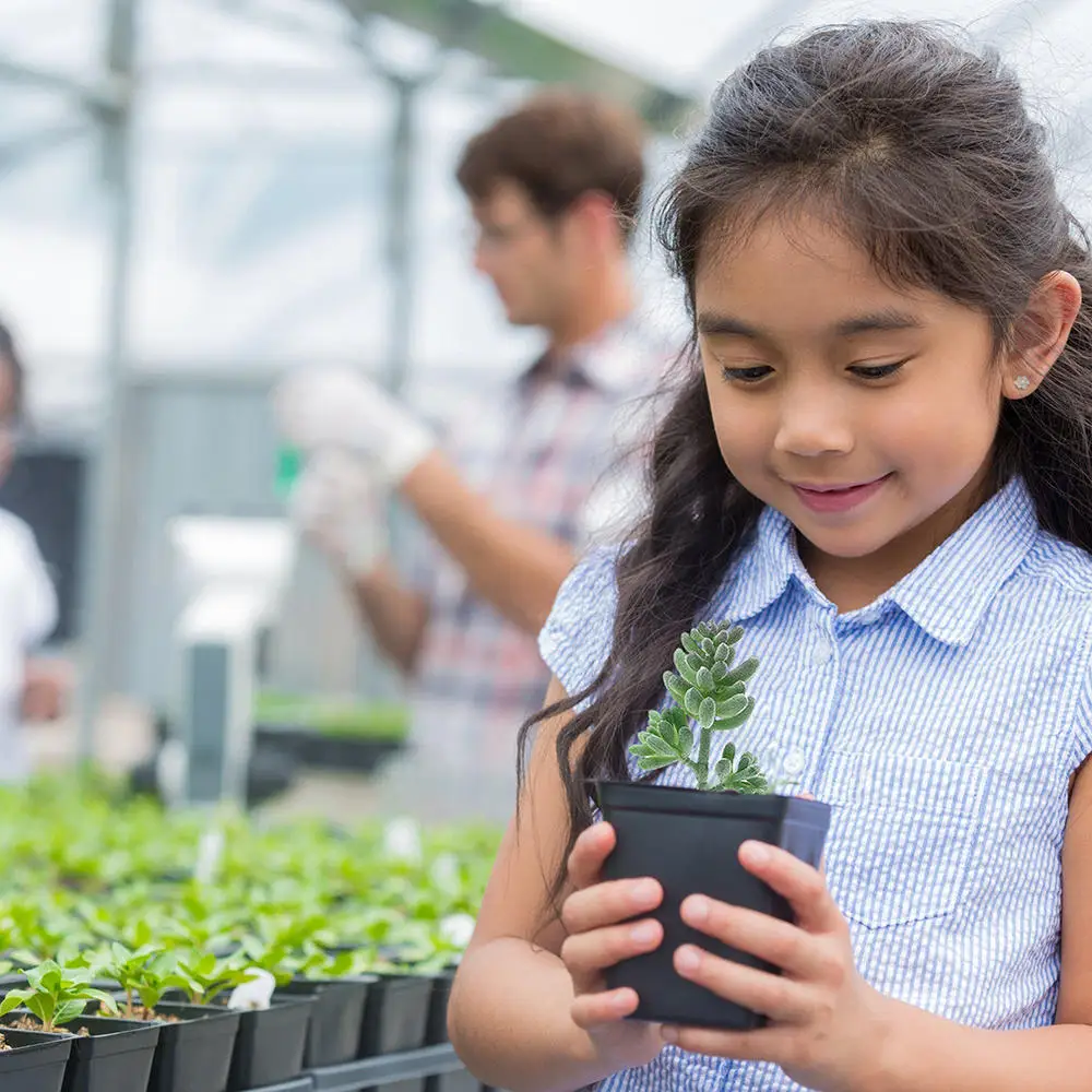 

18 Pcs Mini Artificial Succulents Flocking Plants Unpotted Realistic Textured Natural Color For Garden Balcony Decor Home Decor