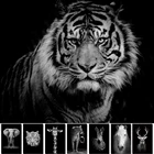 Картина на холсте с изображением черно-белых животных тигра льва и печать, Картина Настенная для украшения гостиной