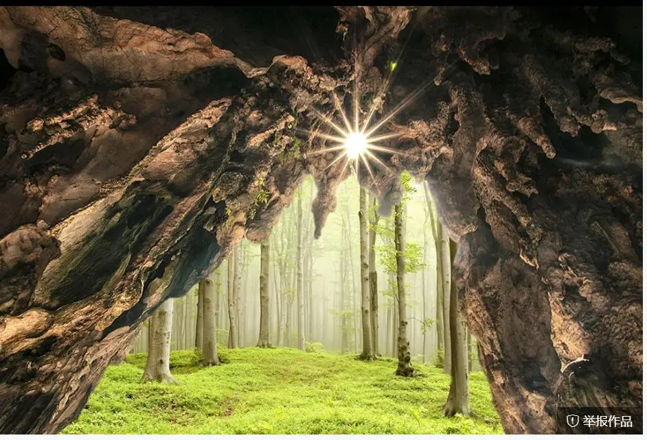 Красивый пейзаж обои стены лес стерео трехмерный Большой HD фон | Обустройство