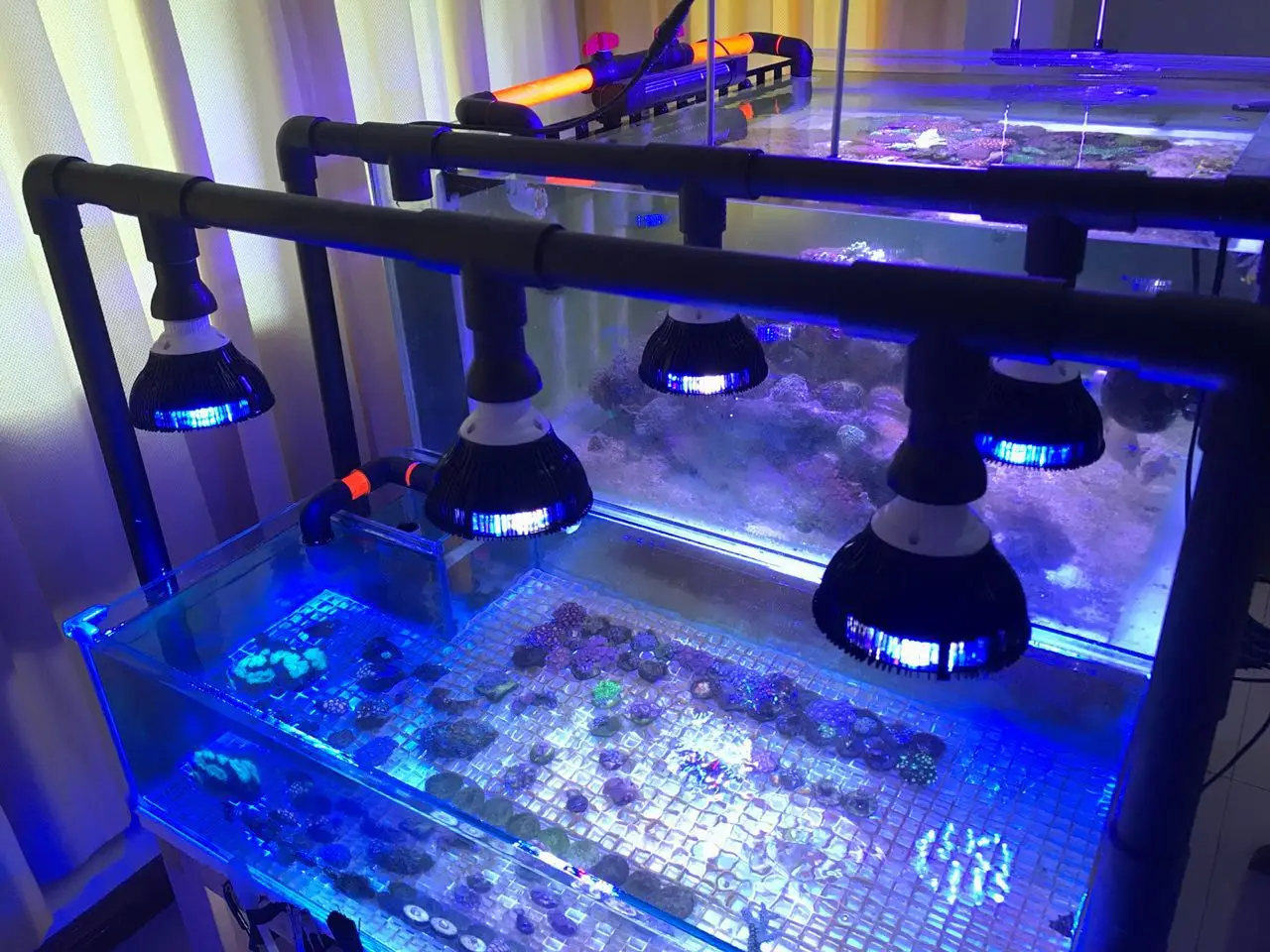 Светодиодная аквариумная лампа с полным спектром Par 38 E27 для коралловых рифов рыб