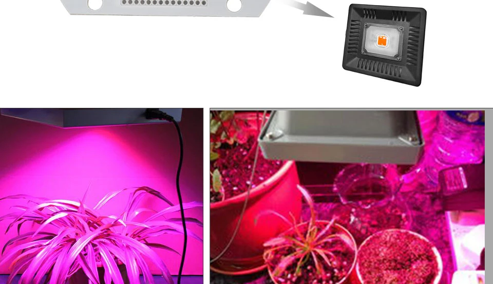 COB Led лампа для выращивания света чип полный спектр 220 В 110 В 20 Вт 30 Вт 50 Вт 380-780нм фитолампа для комнатных растений рассады цветок фитолампи