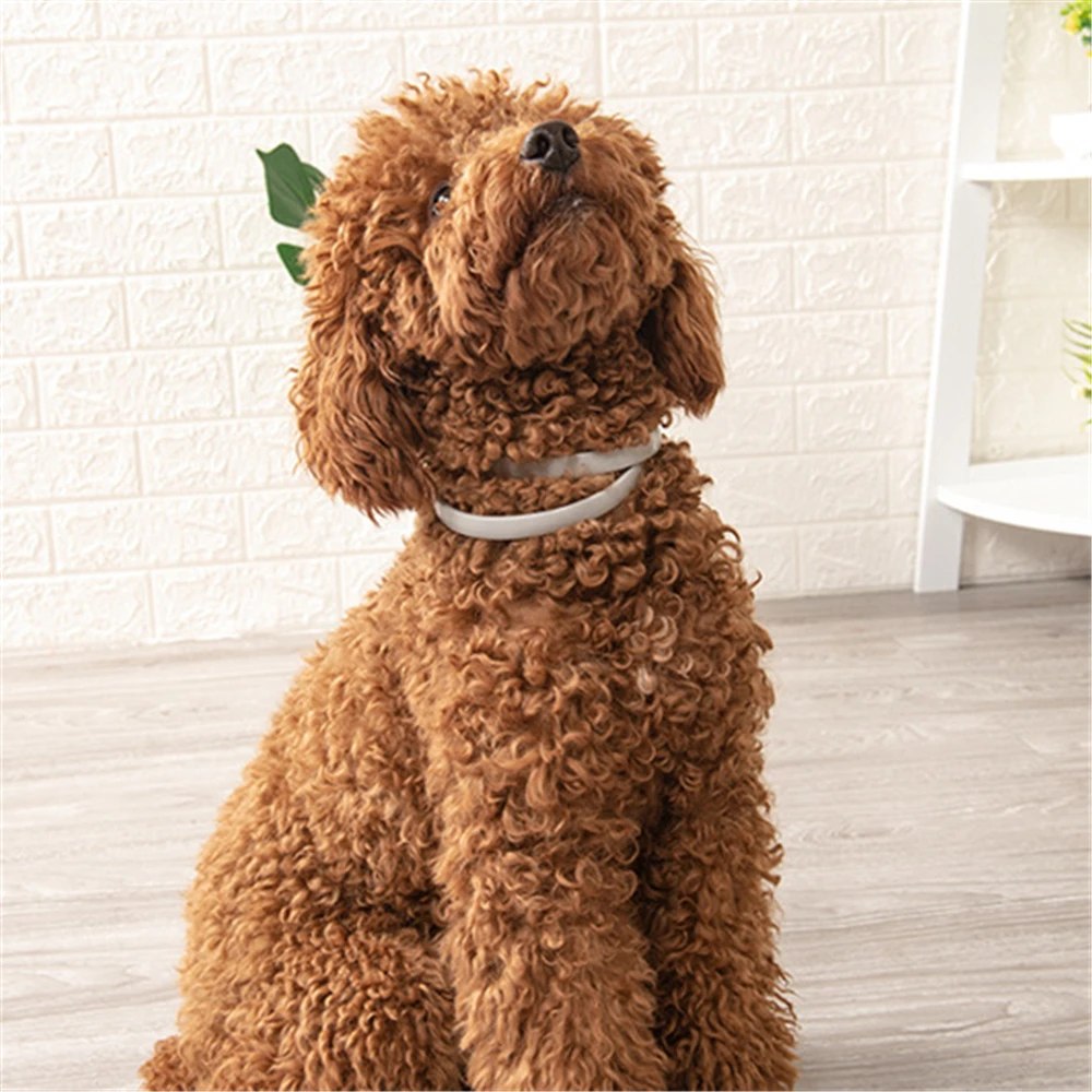 Adjustable Silicone Pet Collar Anti-insect Mites Removal Protection Health Product Cat Dog Neck Strap Fleas Prevention Remedy | Дом и сад