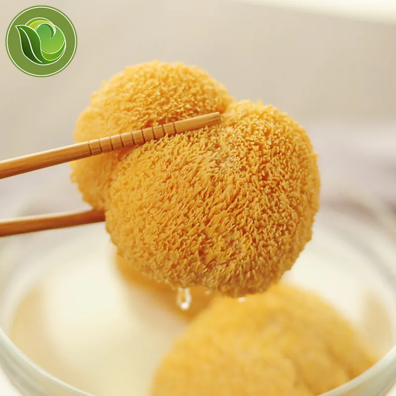 

Dried Lions Mane Mushroom Hericium Erinaceus