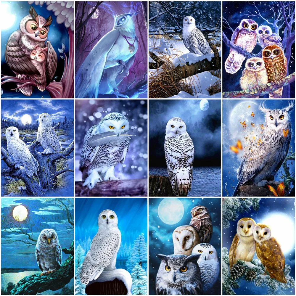 

Набор для раскрашивания по номерам, Сова, ночная рука