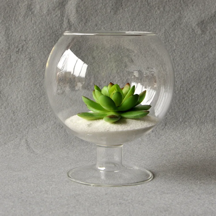 

Clear Glass Vase Glass Terrarium Cup Shaped Bottle Garden Decoration Ornament