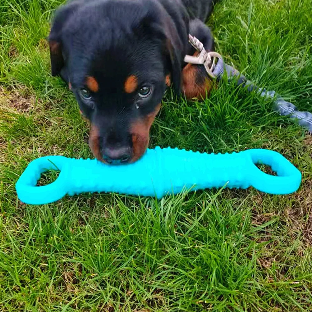

Pet Dog Squeaky Toys Bite Resistant Chew Molar Bone Outdoor Training Interactive Toys Pet Dog Supplies Beach Pool Playthings