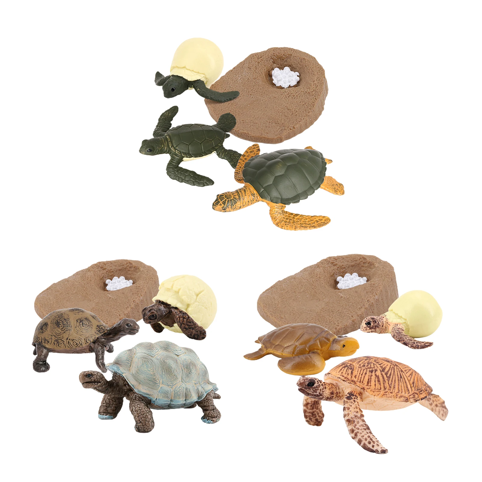 Modelo de ciclo de vida para tortuga marina, 4 etapas de crecimiento, educaci&oacute;n para ni&ntilde;os, juguetes cognitivos de Navidad-0