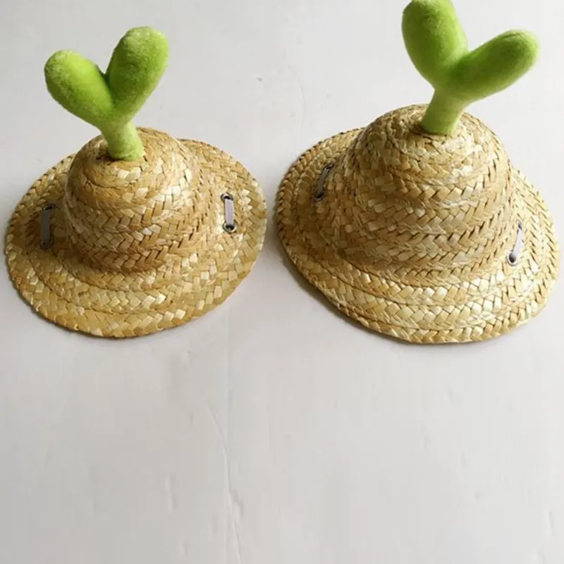 

Pet Accessories Cat Dog Straw Hat Small Shoots Pet Hat Headdress Decoration Puppy Dog Cat Caps Supplies Dropship