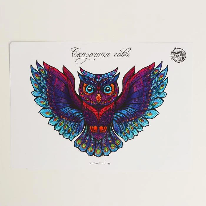 Puzzle &quotFabulous Owl&quot Gifts Hobbies Baby Kids Birthday Toys for children Puzzles Games and |