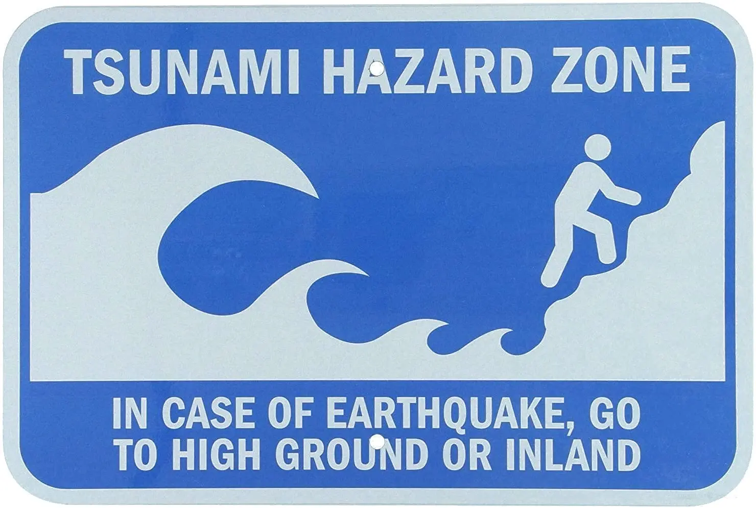 

JIANKUN Warning Sign Tsunami Hazard Zone with Graphic Road Sign Business Sign 8x12 Inches Aluminum Metal Tin Sign Z0387