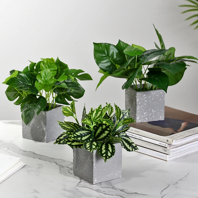 Ins Скандинавская креативная в виде черепахи лист зеленый укроп растение