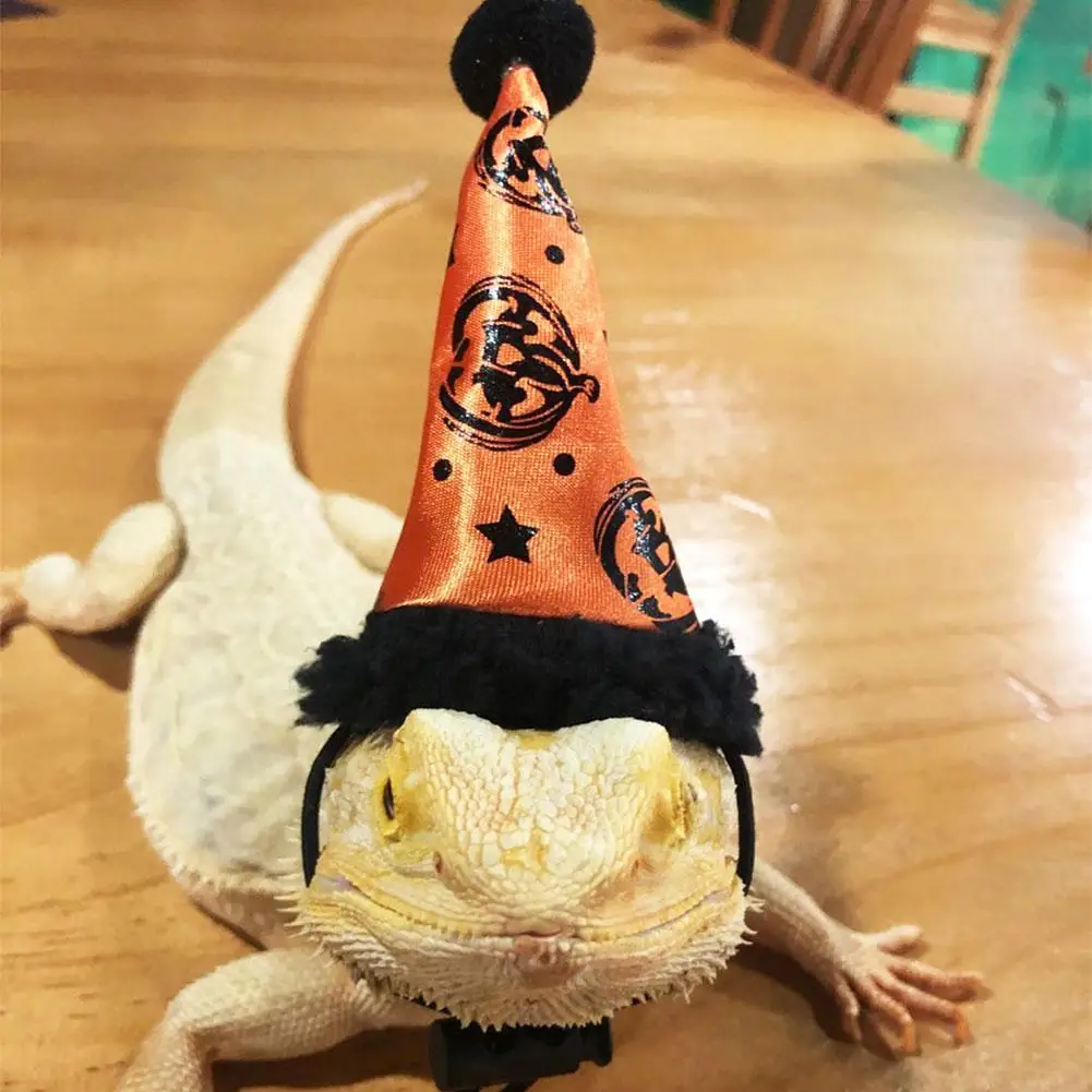 Дракон/игуаны/ящерица маленькая рептилия упряжь Ящерица Забавный костюм для