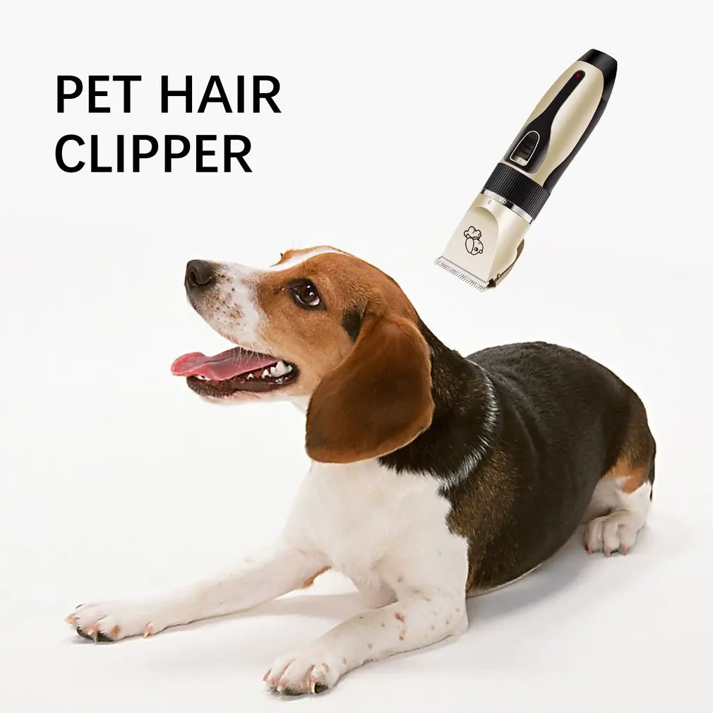 

1 Set Pet Electric Clipper High Quality Ceramic Cutter Head 5Th Gear Fine Shaving Low Noise Design Lasting Endurance Hot Selling