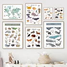 Карта мира с животными, школьная Монтессори, Образовательное настенное искусство, Картина на холсте, скандинавские постеры и принты, настенные картины, декор для детской комнаты