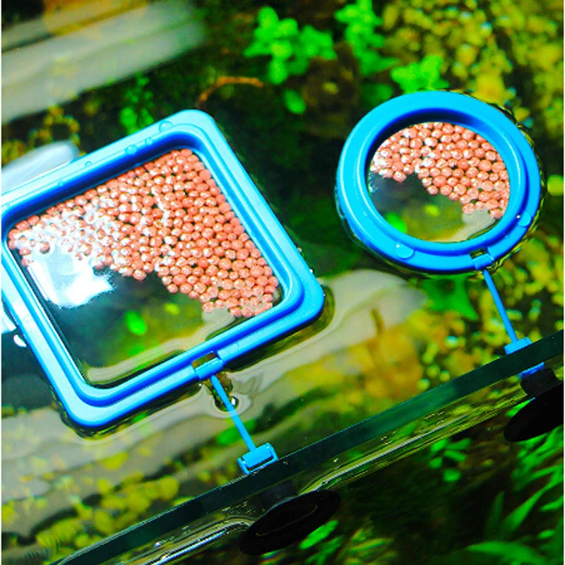 New 1pcs Fish Food Ring Aquarium Tank Small Type Tropical Feeder Feeding Accessories | Дом и сад