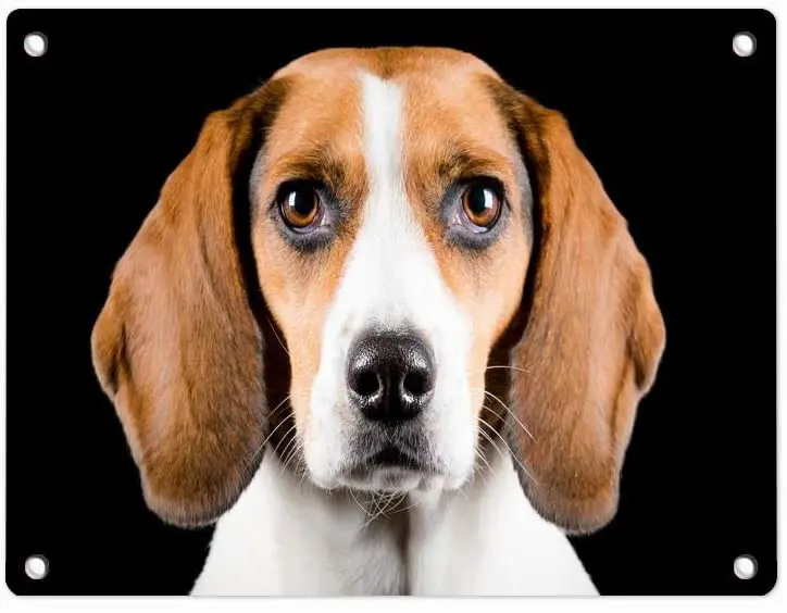 

Металлическая вывеска для дома и улицы на заказ, художественный плакат, жестяная вывеска на стену знак на дом, украшение в подарок 12 дюймов X ...