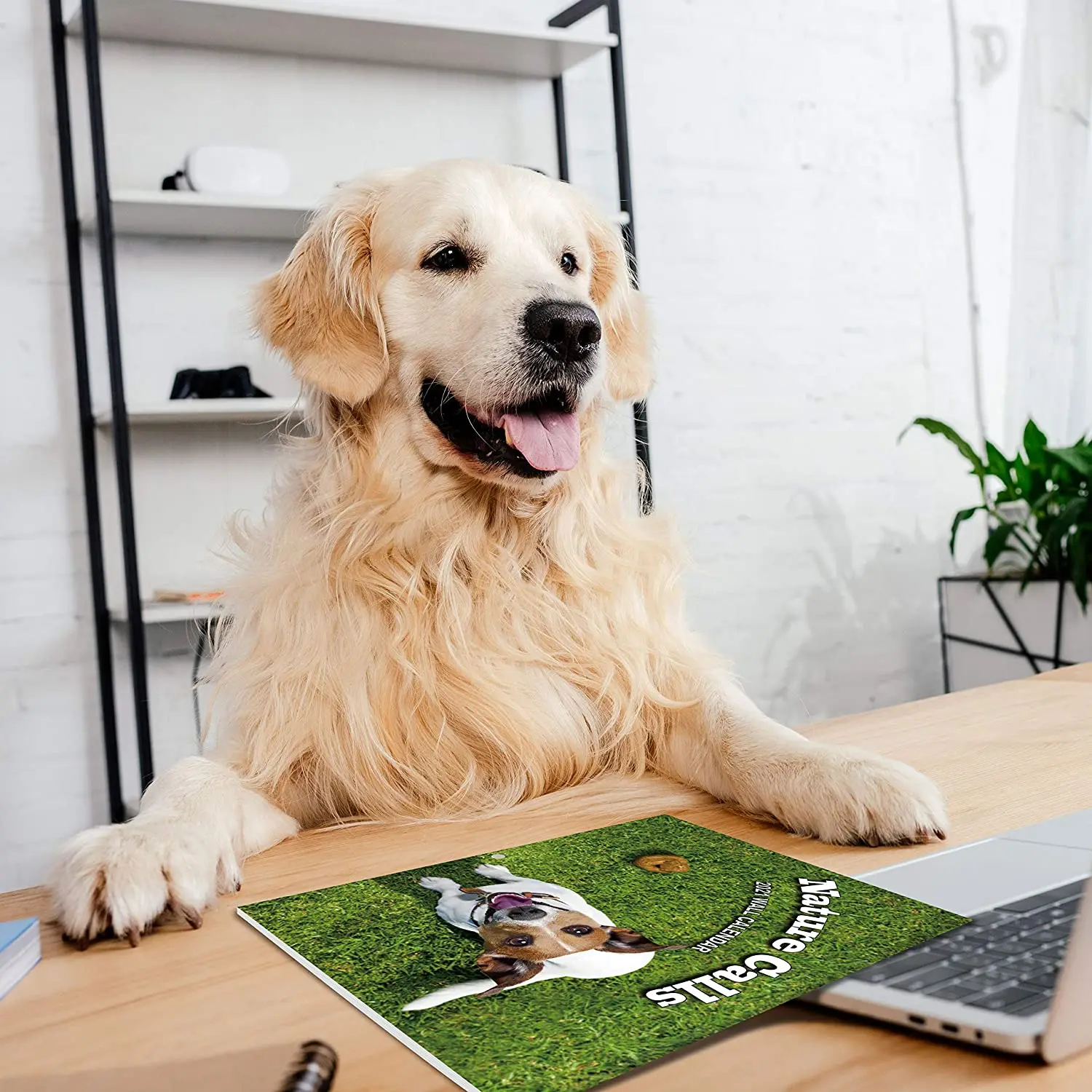 

2021 Calendar Cute Dog Pattern Diary Book Weekly Monthly Schedule Table Planner Yearly Agenda Organizer Large Size Dropshipping