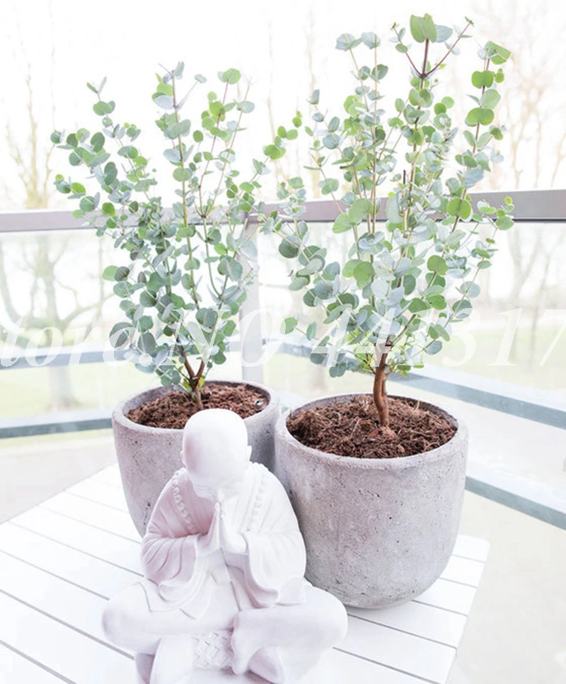 Рождественские елки искусственные (Гавайские эвкалипта 100 шт)|Деревья| |