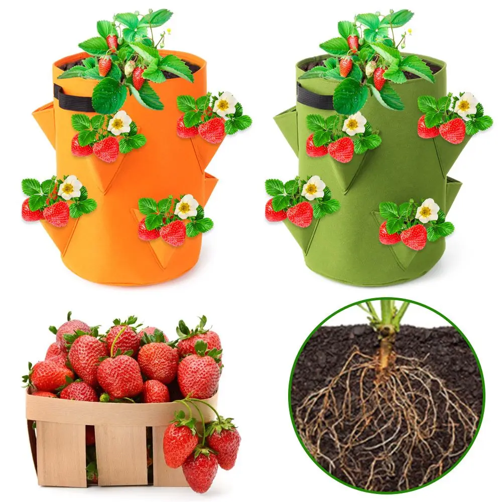 Альбом для выращивания клубники сделай сам|Тканевые горшки рассады| |