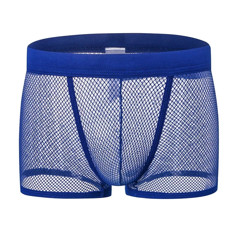 

Sexy Mens Boxers Shorts Low Rise Man Sissy Underwear Lingerie Trunk Transparent Mesh See Through Underpants Cueca Men Panties