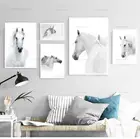 Постеры в скандинавском стиле с изображением головы белой лошади, холст, картины, настенные принты для современной гостиной, домашнее украшение