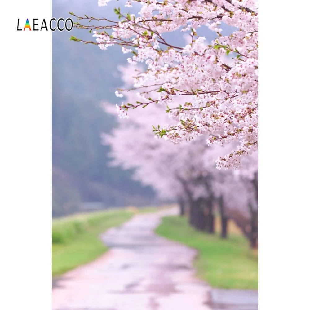 Laeacco весенний портрет Фотофон лес цветущие деревья дорога фотография фоны для