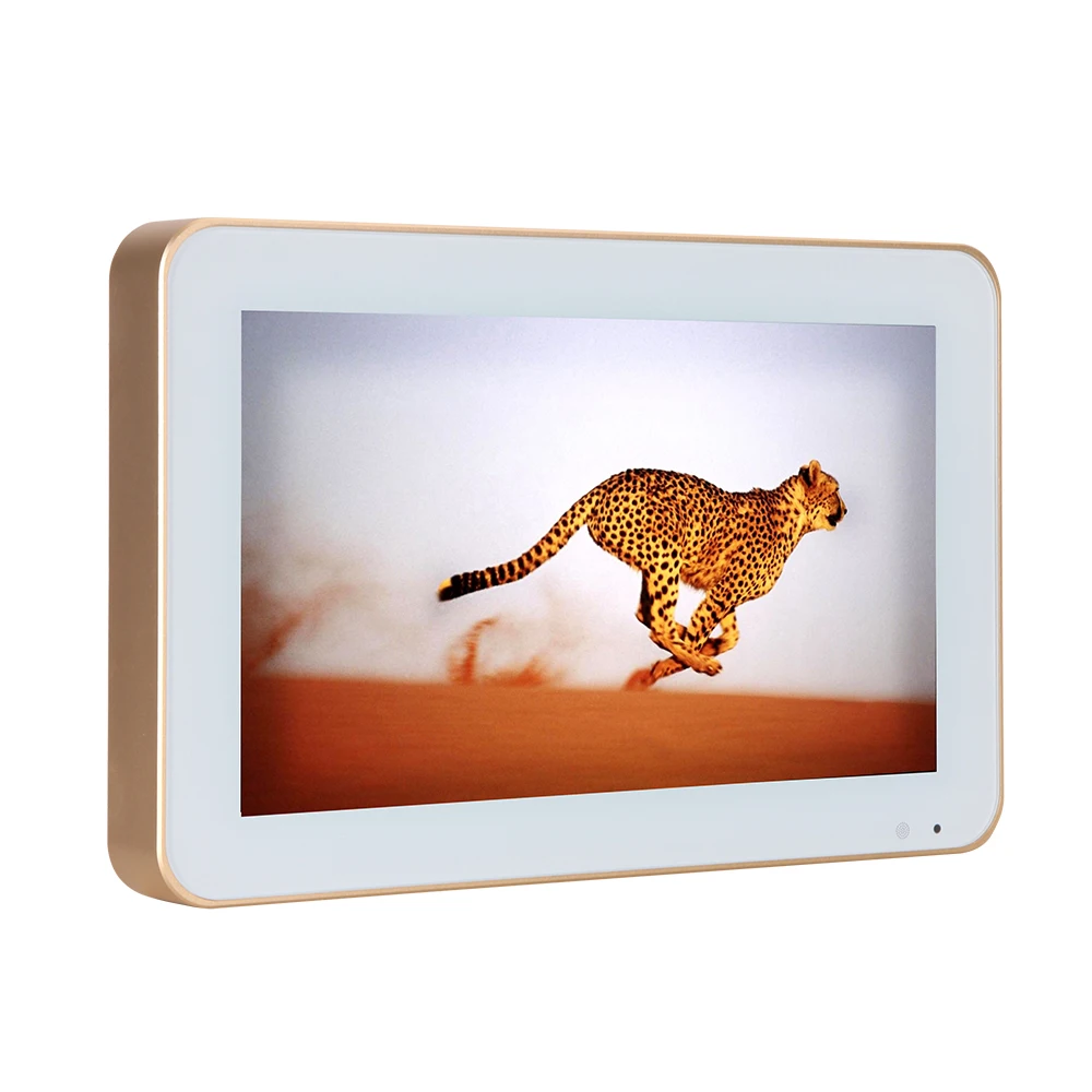 

10.6 Inch Portable Mini TV Cheap Flat Screen Waterproof TV for Spa