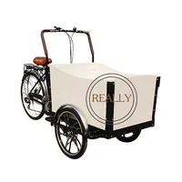 RL-T05A shopping cargo bicycle / Family Electric Cargo Bike / Electric bike