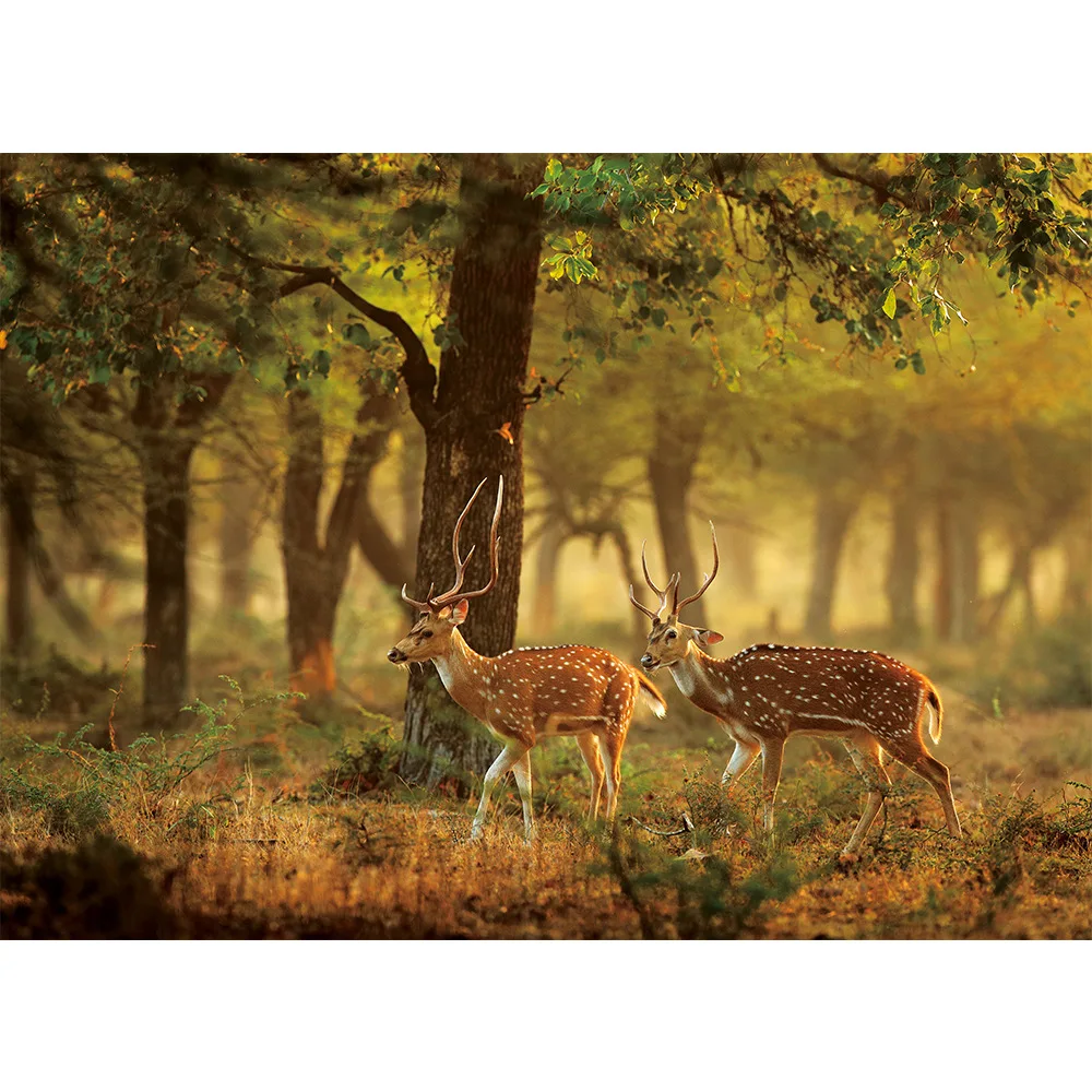 

Sika deer ,The Paper puzzle 1000 pieces ersion paper jigsaw puzzle adult children's educational toys