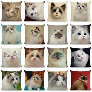 XUNYU тряпичная кукла с изображением кота для подушек размером 45*45 см, стилизованные принтом с животными; Декоративная подушка чехол DWM022